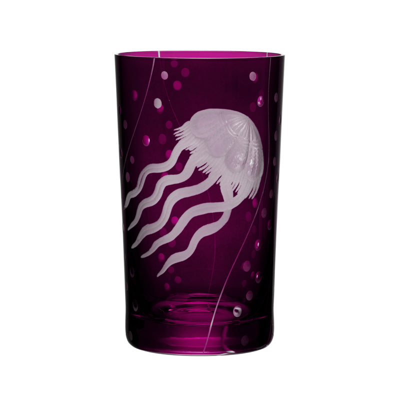 Sea Life Jellyfish