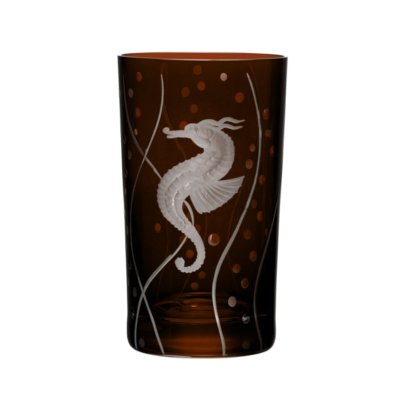 Sea Life Seahorse