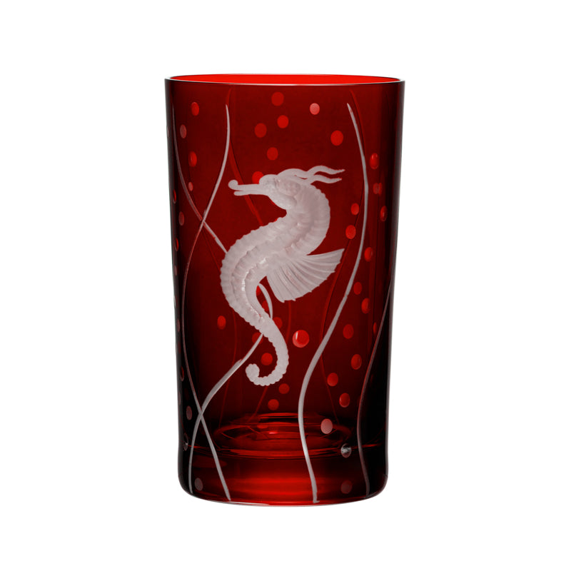 Sea Life Seahorse