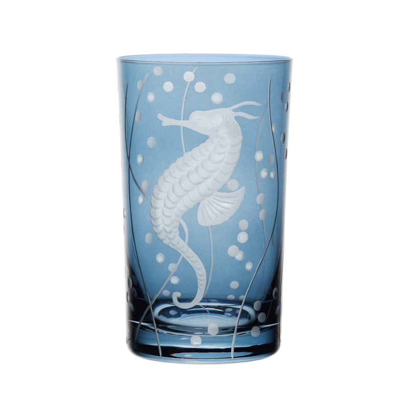 Sea Life Seahorse
