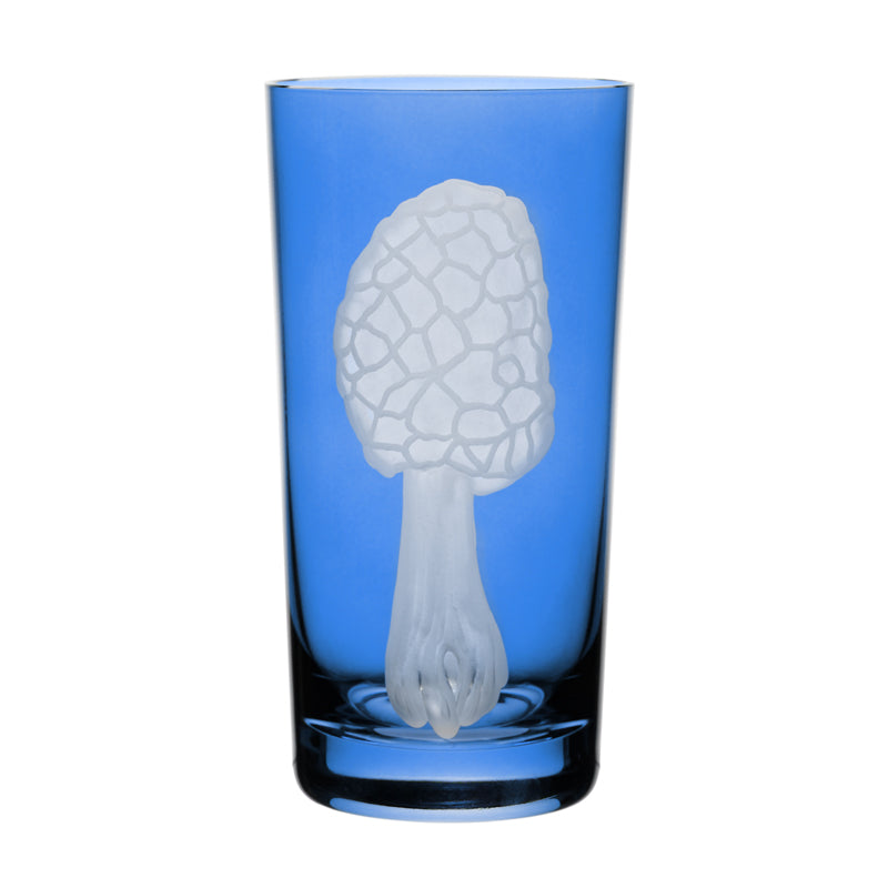 Mushrooms Morel