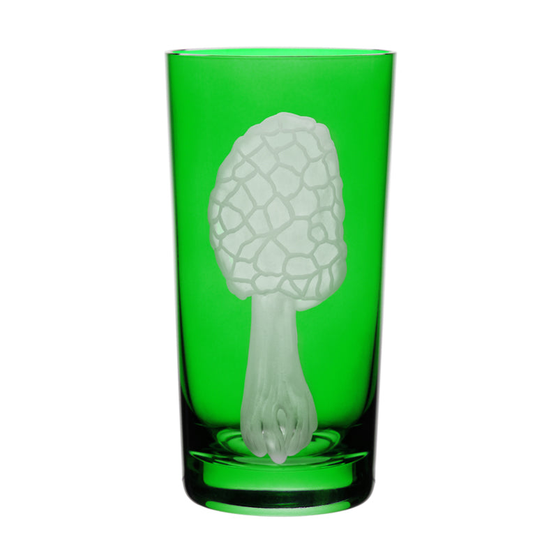 Mushrooms Morel