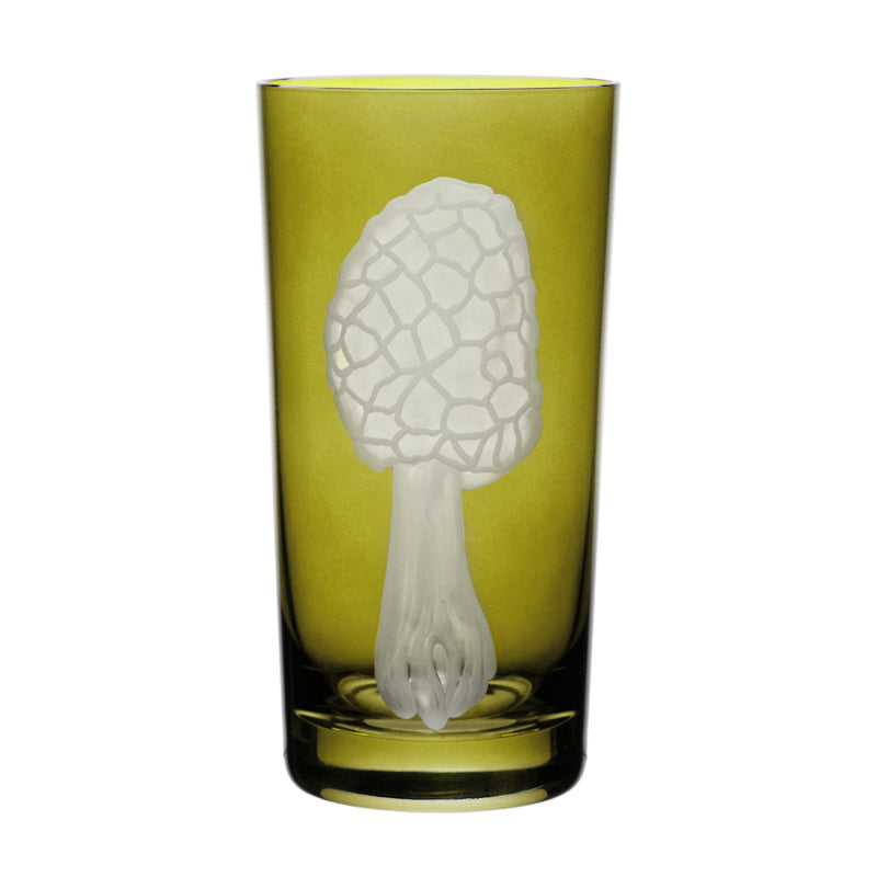 Mushrooms Morel