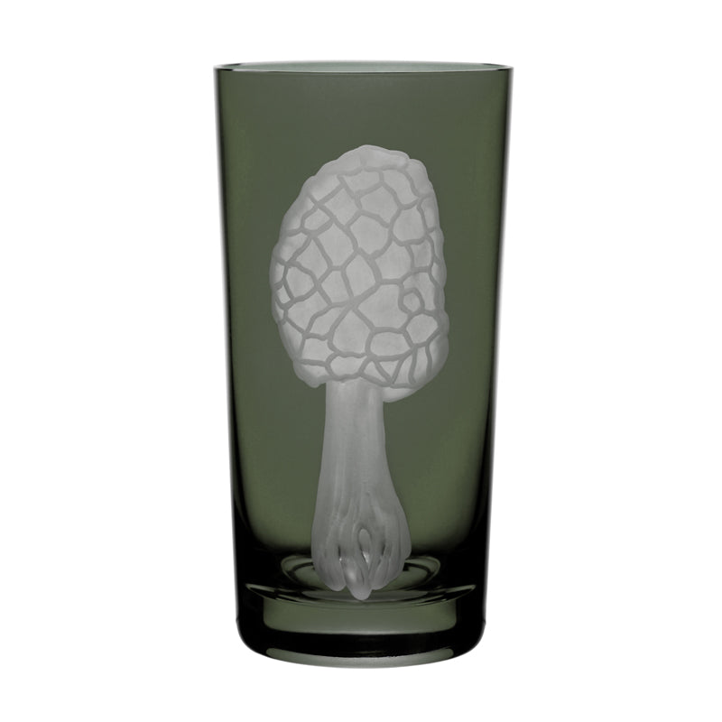 Mushrooms Morel