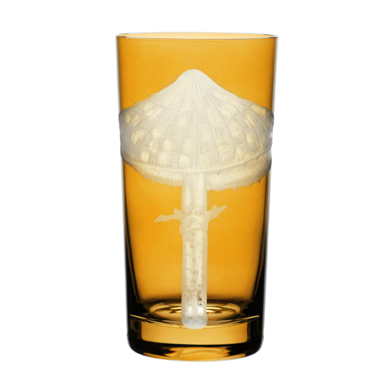 Mushrooms Parasol