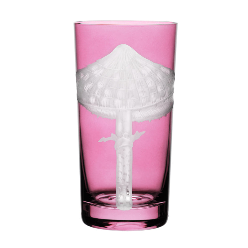 Mushrooms Parasol