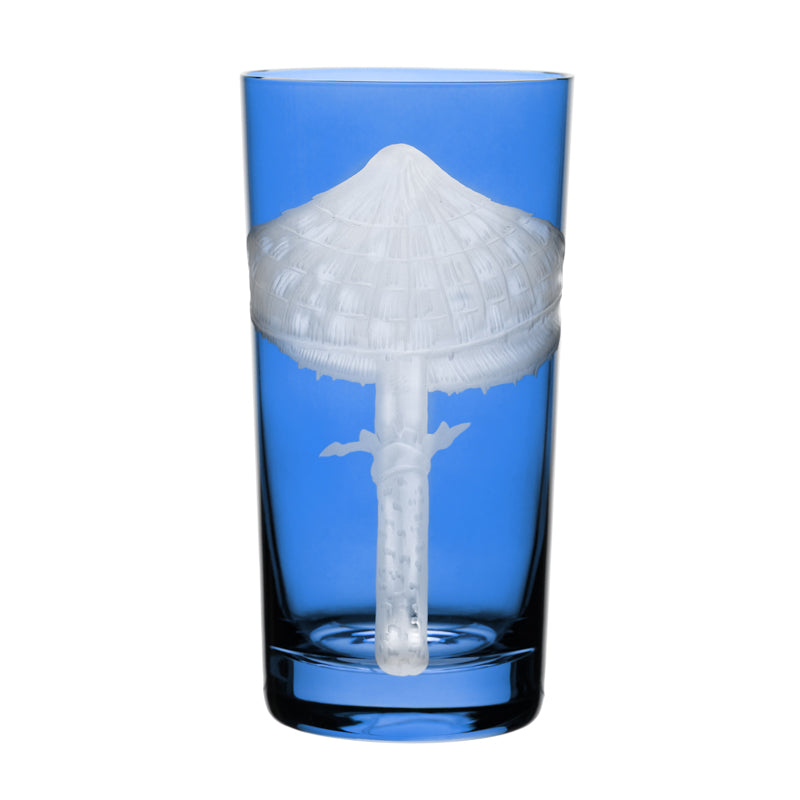 Mushrooms Parasol