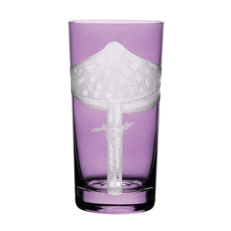 Mushrooms Parasol