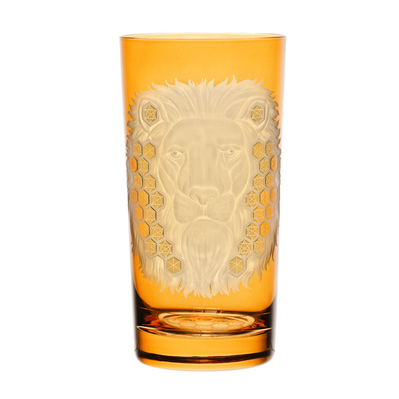 African Safari Lion