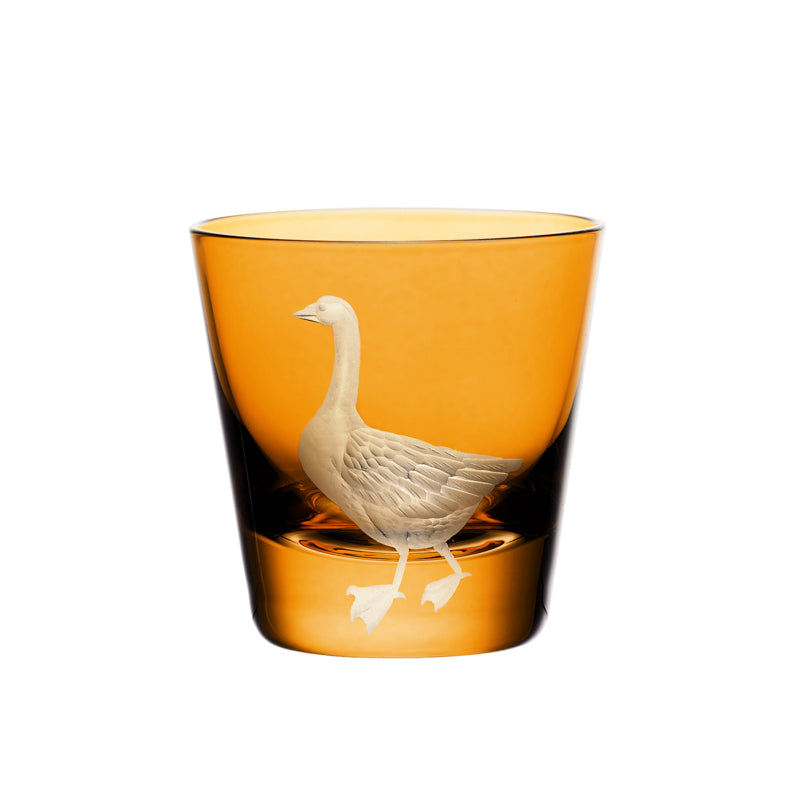 Barnyard Goose
