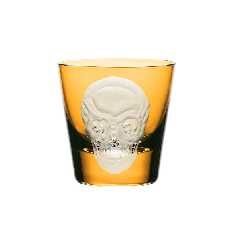 Cabinet of Curiosities Skull