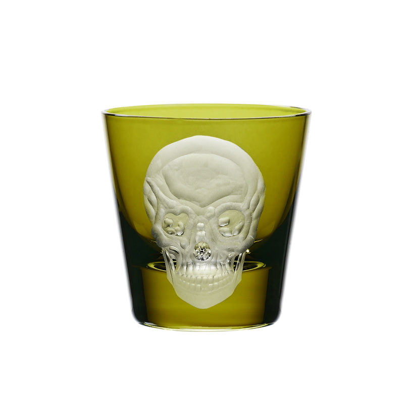 Cabinet of Curiosities Skull