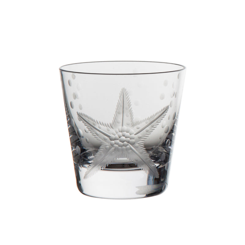Sea Life Starfish