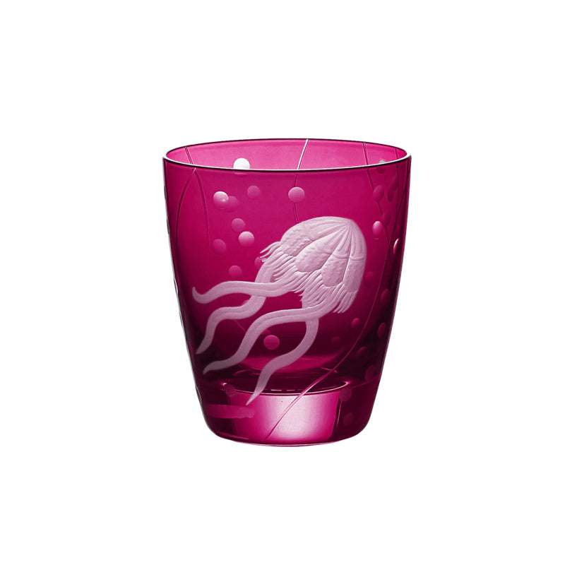 Sea Life Jellyfish