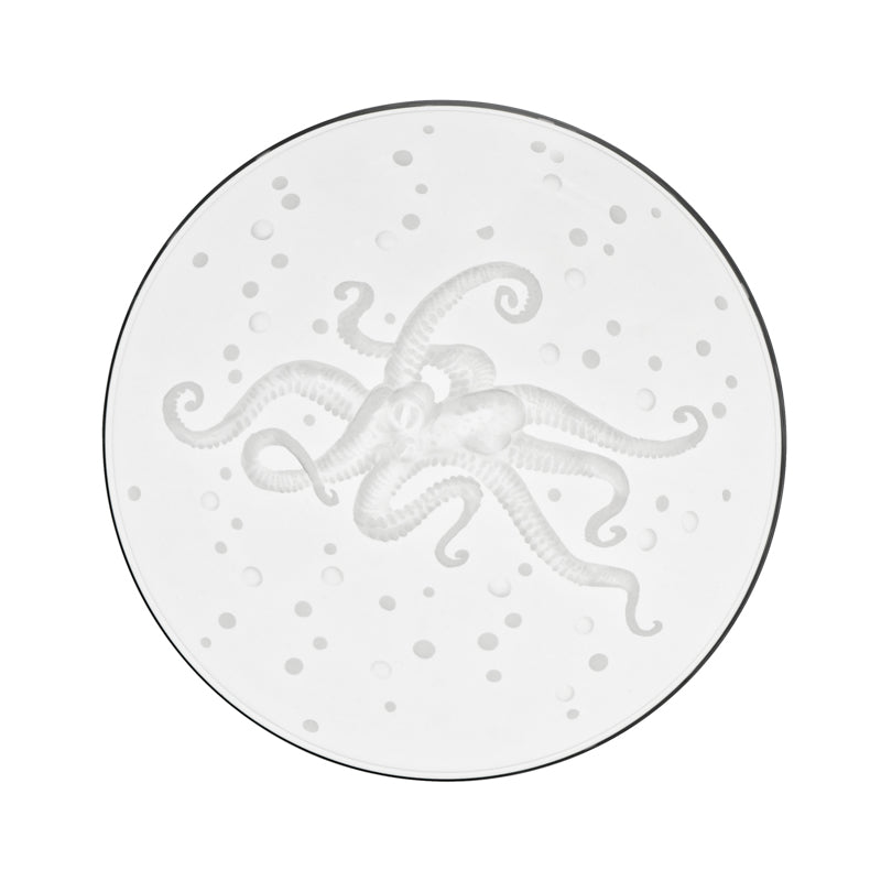 Sea Life Octopus
