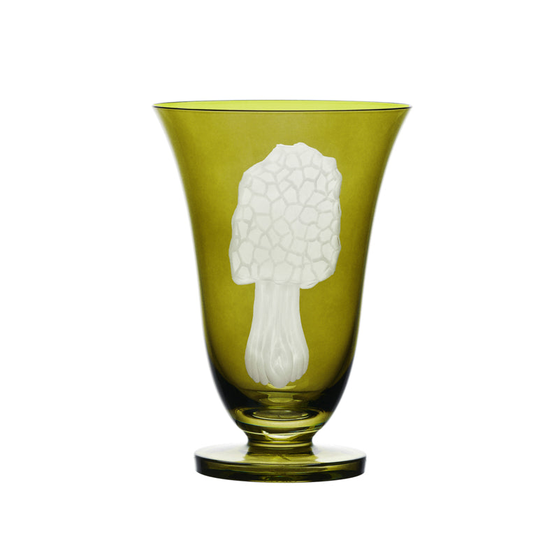 Mushrooms Morel