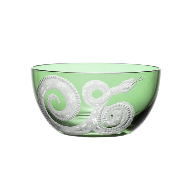 Cabinet of Curiosities Snake