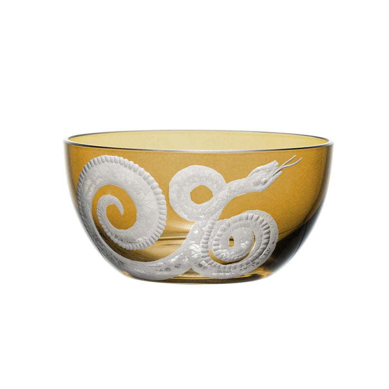 Cabinet of Curiosities Snake