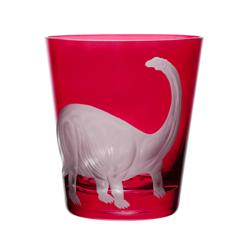 Dinosaur Collection 1 Brontosaurus