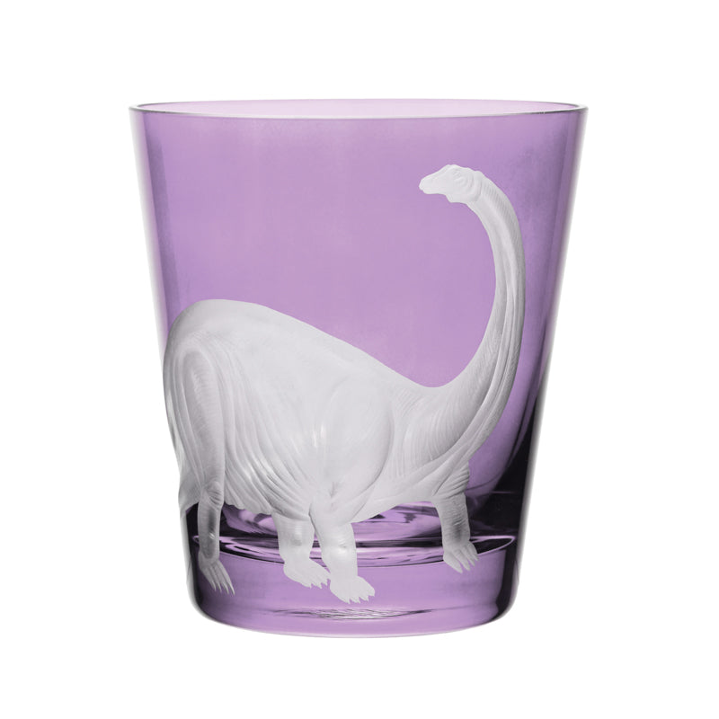Dinosaur Collection 1 Brontosaurus
