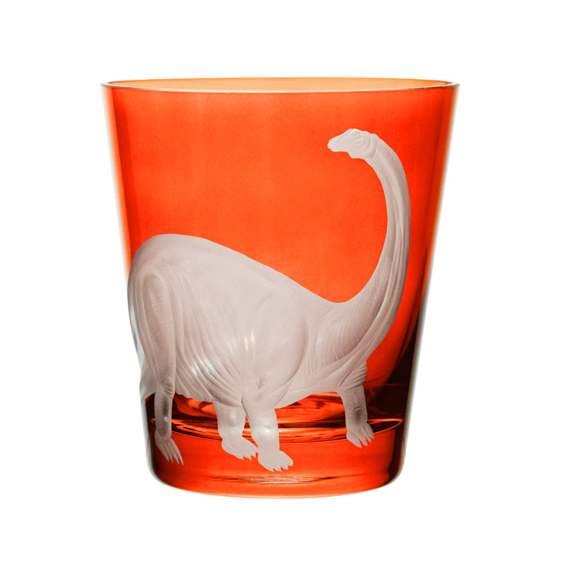 Dinosaur Collection 1 Brontosaurus