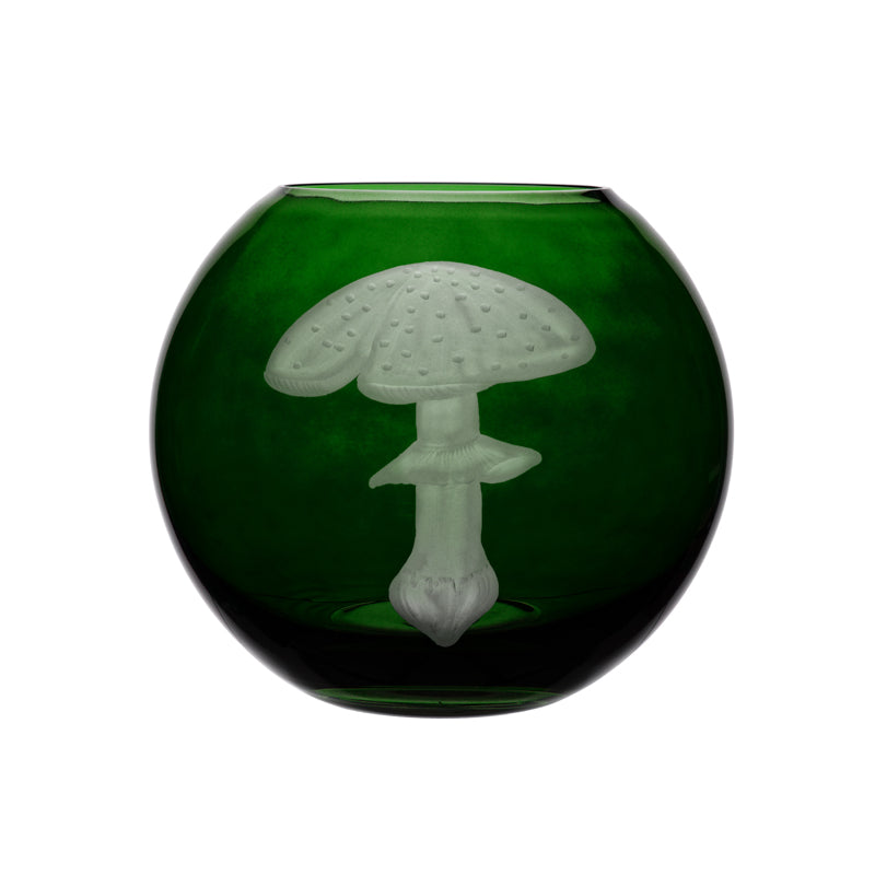 Mushrooms Fly Amanita