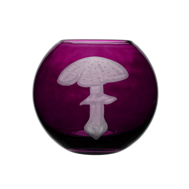 Mushrooms Fly Amanita