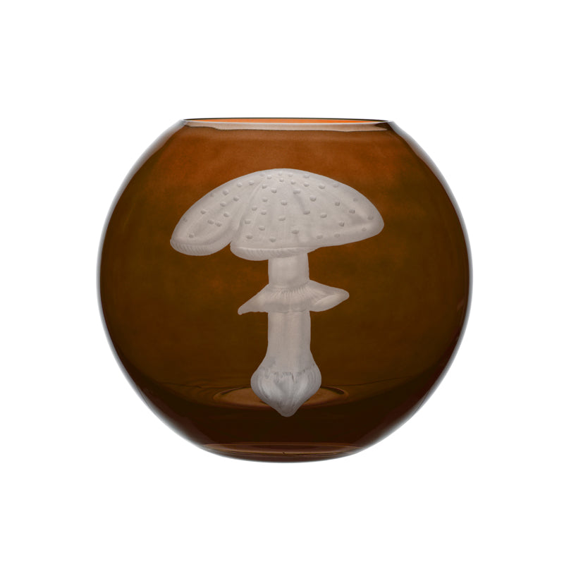 Mushrooms Fly Amanita