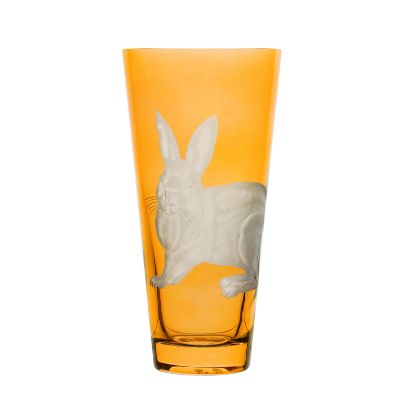 Barnyard Rabbit