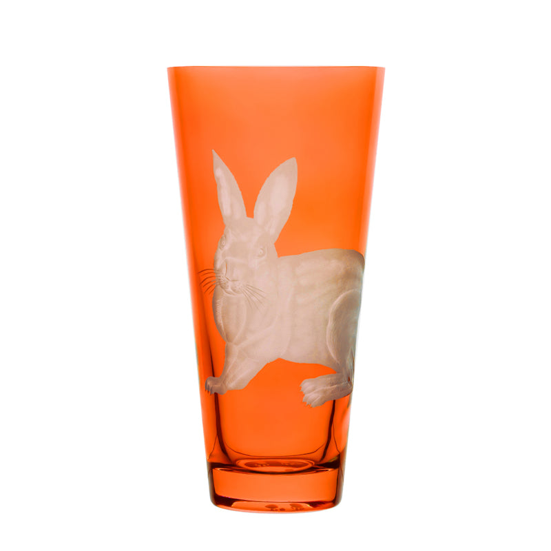 Barnyard Rabbit