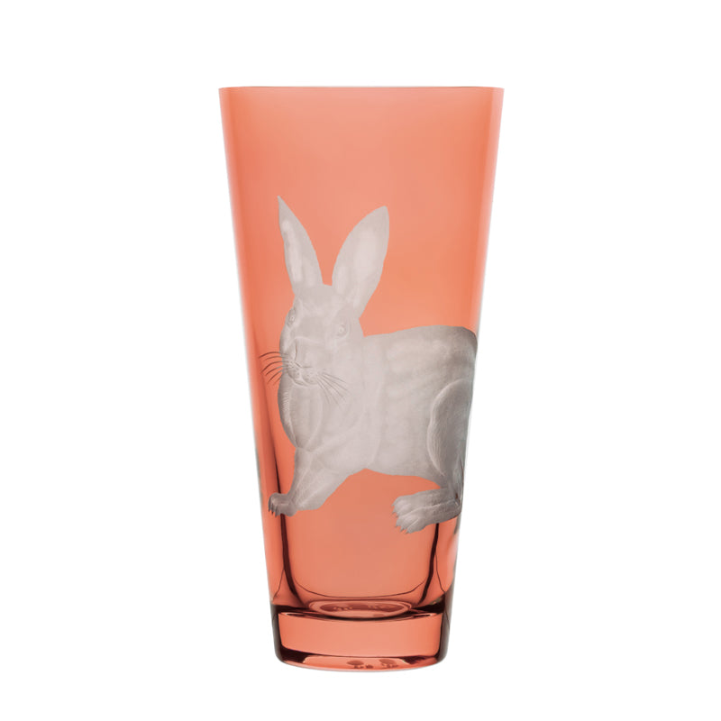 Barnyard Rabbit