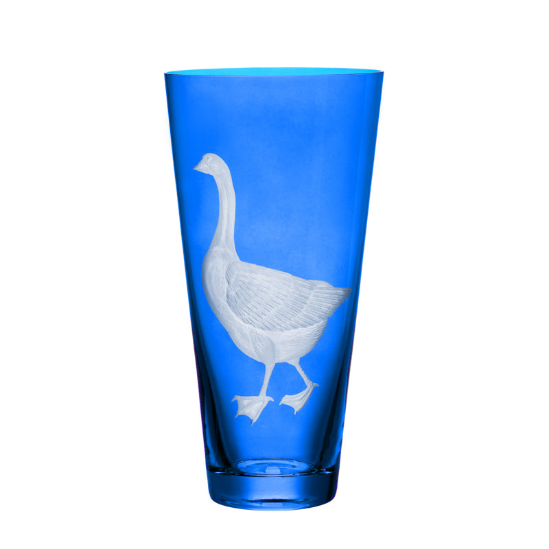 Barnyard Goose