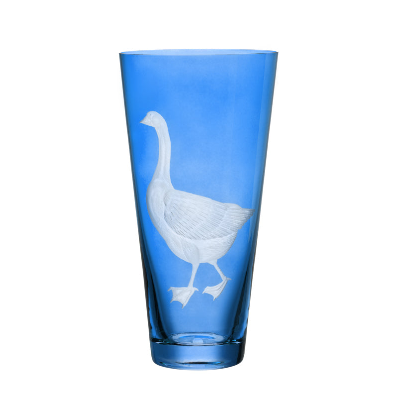 Barnyard Goose