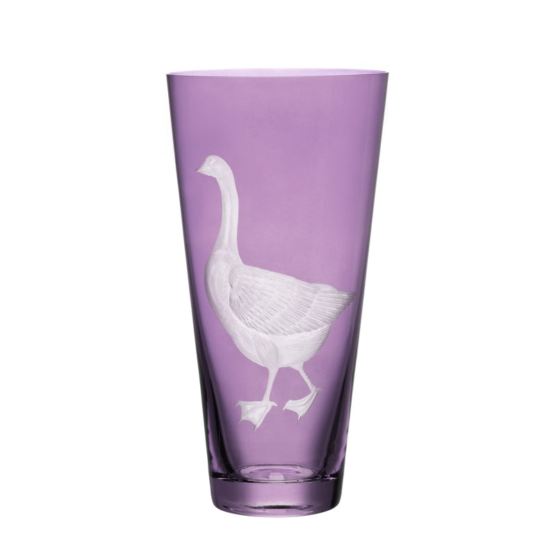 Barnyard Goose