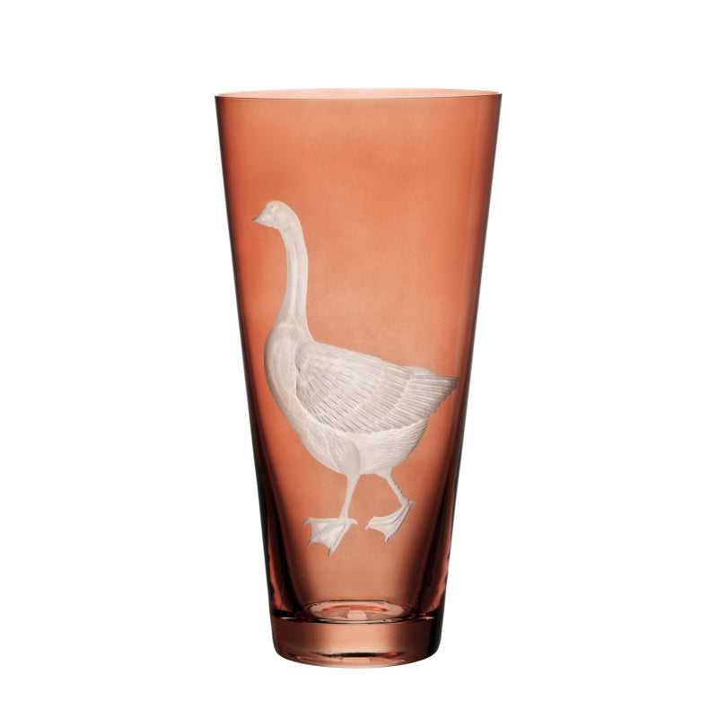 Barnyard Goose