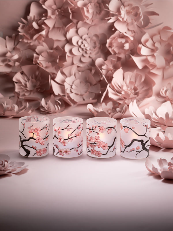Sakura - Flowers with Gold Center