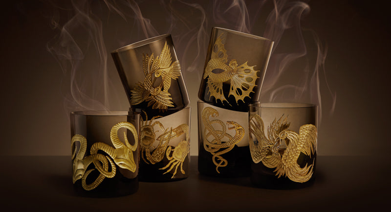 Waltz of the Wild Collection Fighting Fish