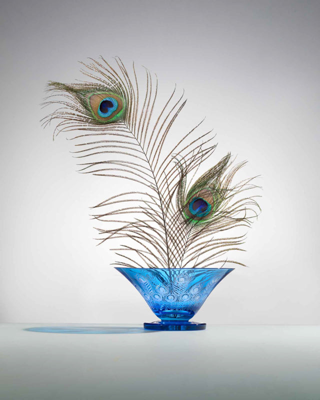 Plumage