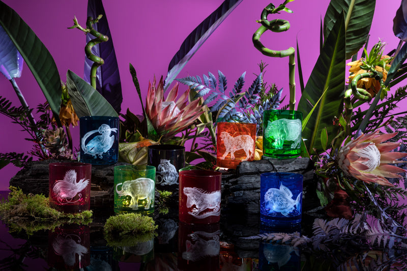 Jungle Baroque III Collection Set