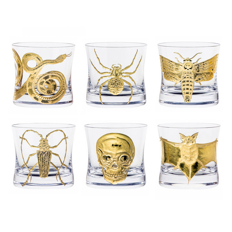 Cabinet of Curiosities Collection Set