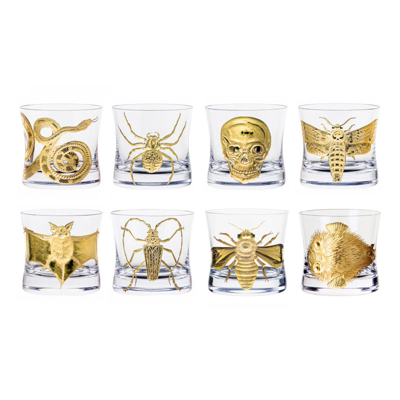 Cabinet of Curiosities Blowfish