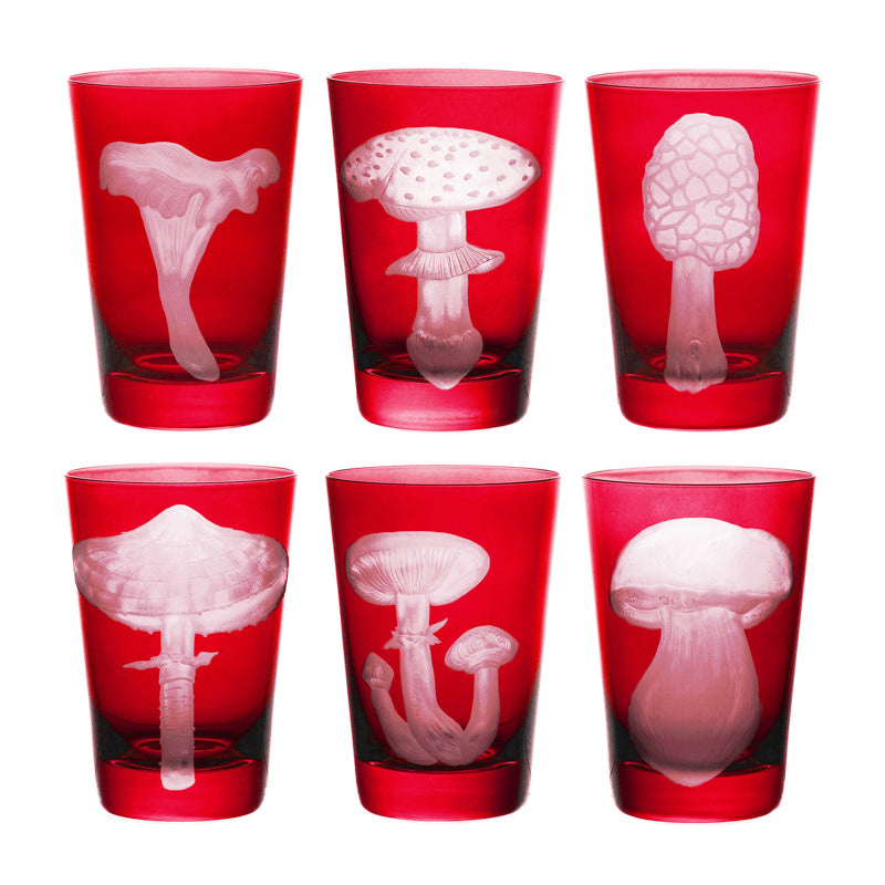 Mushrooms Collection Set