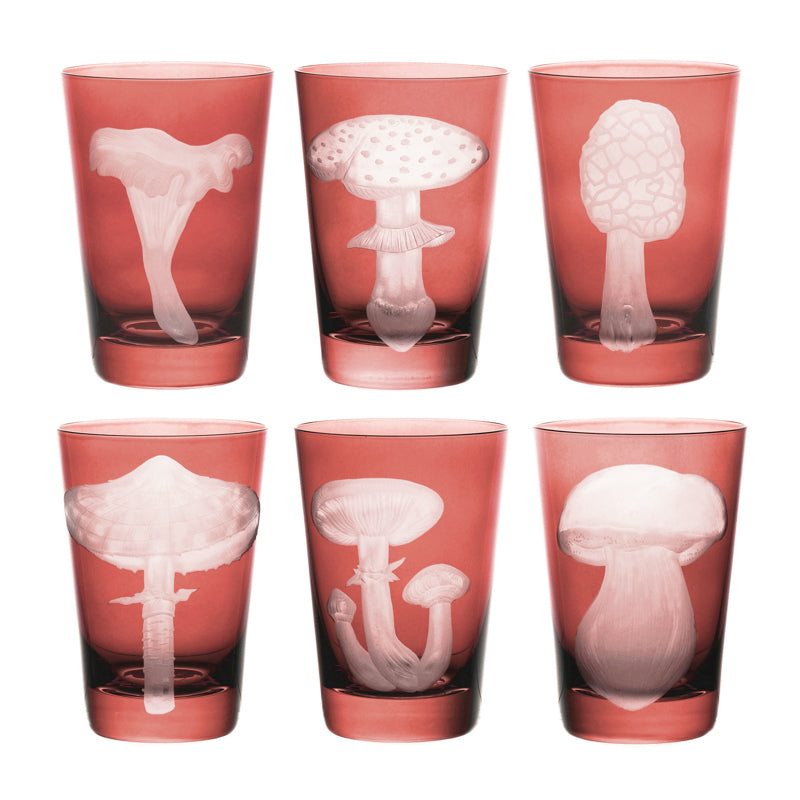 Mushrooms Parasol