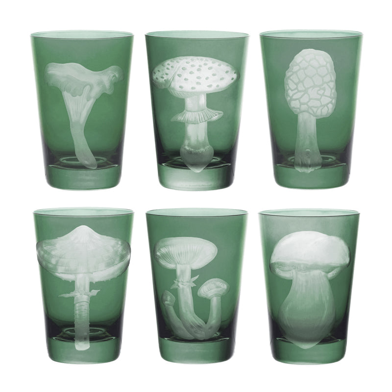 Mushrooms Parasol