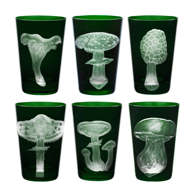 Mushrooms Morel