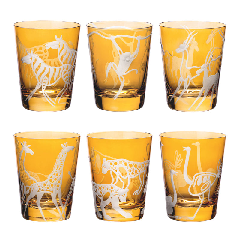 Safari Giraffes
