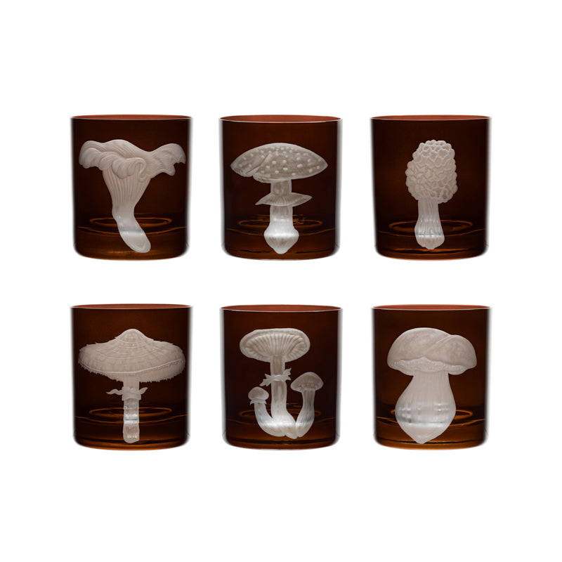 Mushrooms Morel