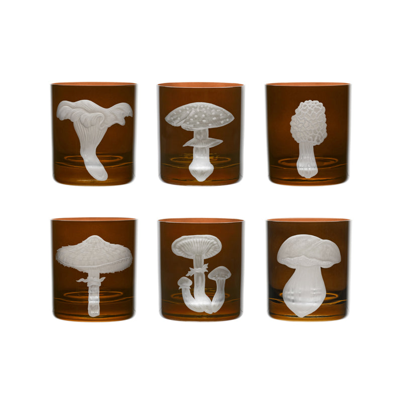 Mushrooms Fly Amanita