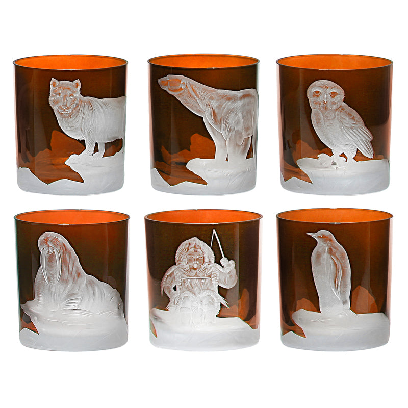 Arctic Collection Set