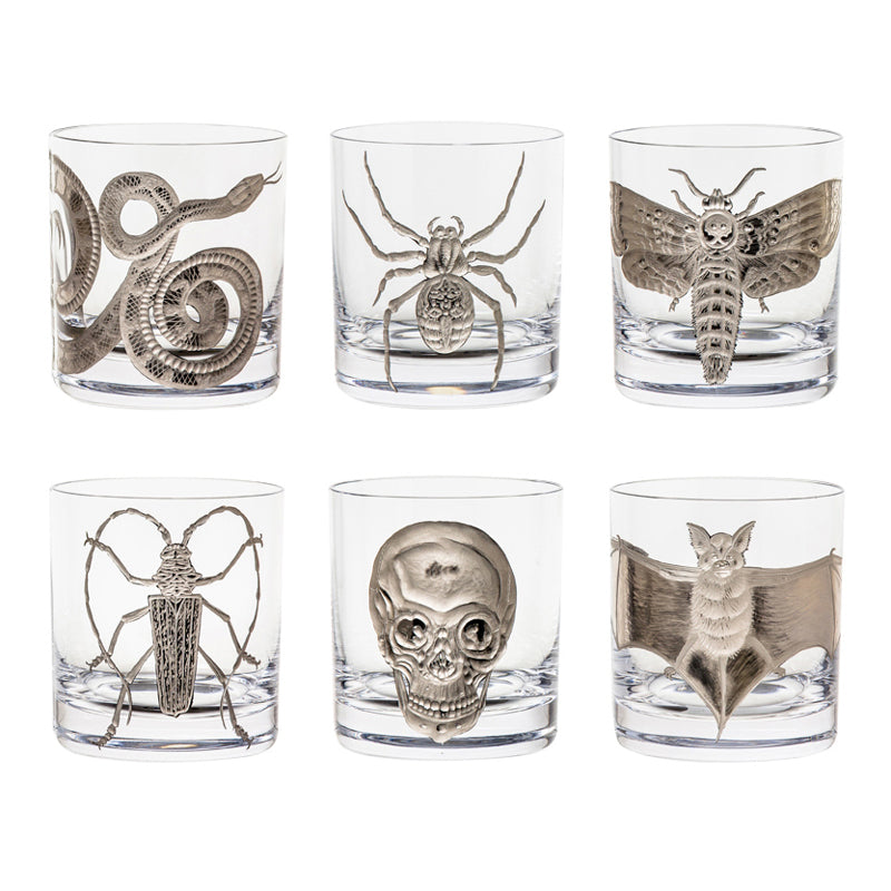 Cabinet of Curiosities Collection Set